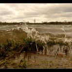 Stausee Glauchau 10