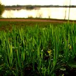 Stausee Glauchau 101