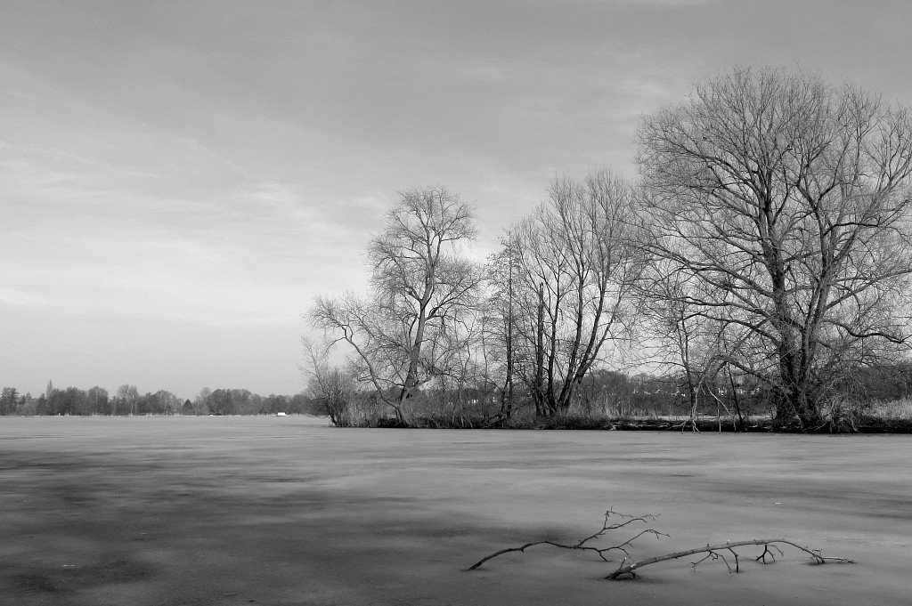 Stausee Glauchau (131)