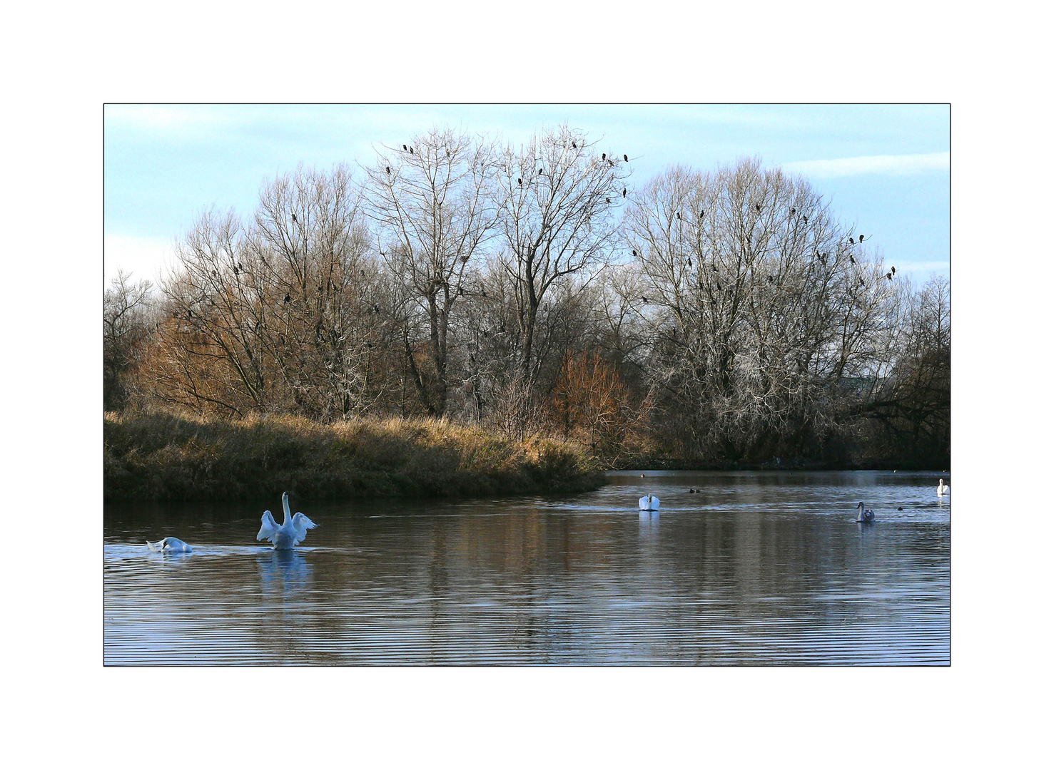 Stausee Glauchau 15