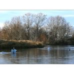 Stausee Glauchau 15