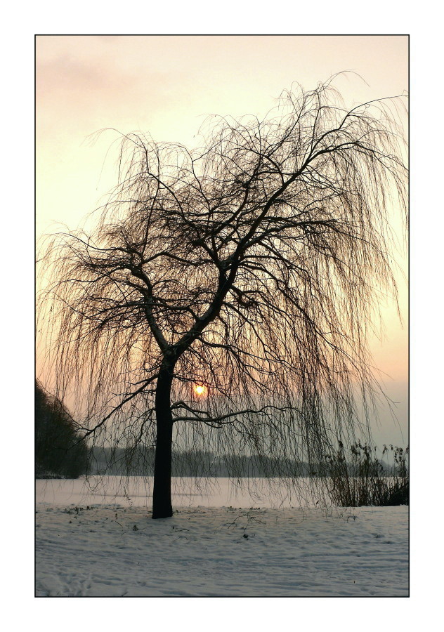 Stausee Glauchau 16