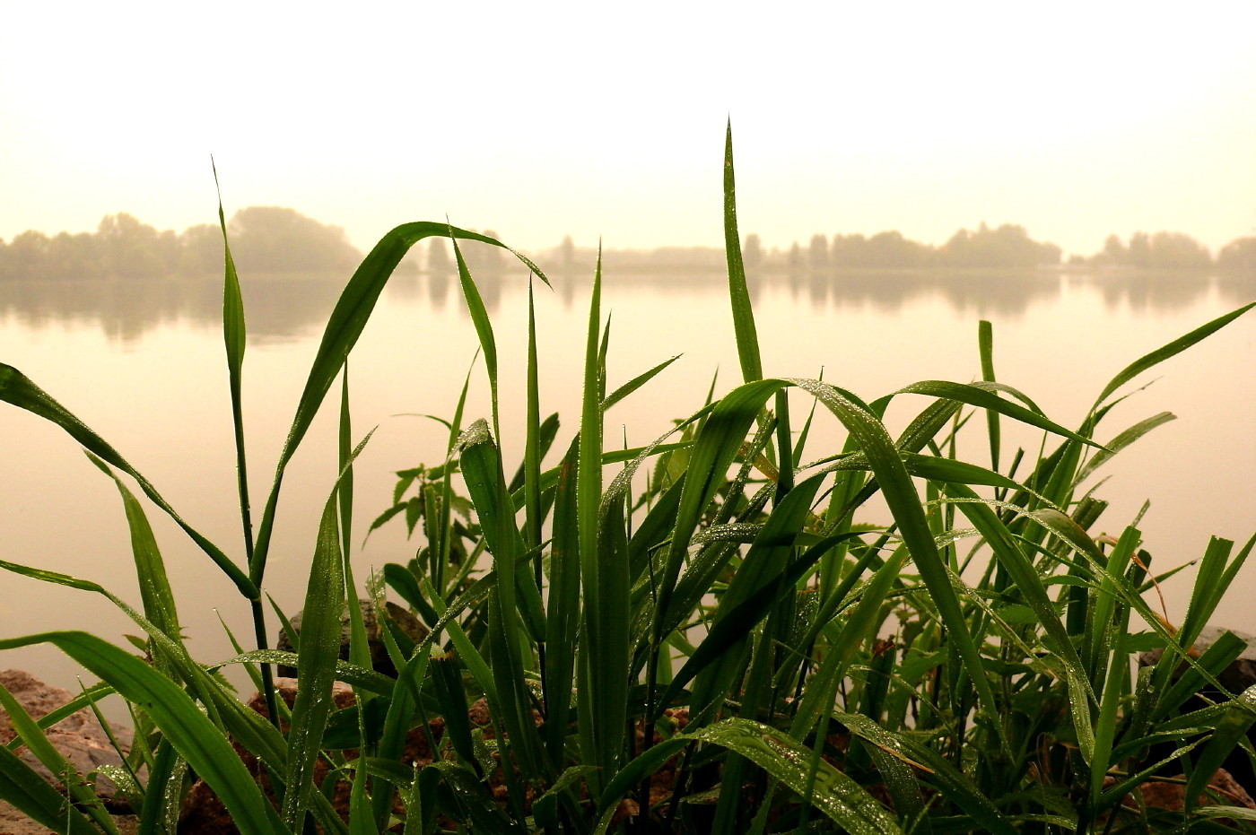 Stausee Glauchau 31