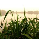 Stausee Glauchau 31