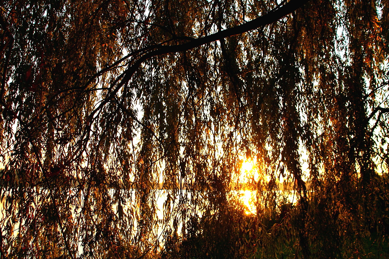 Stausee Glauchau 34