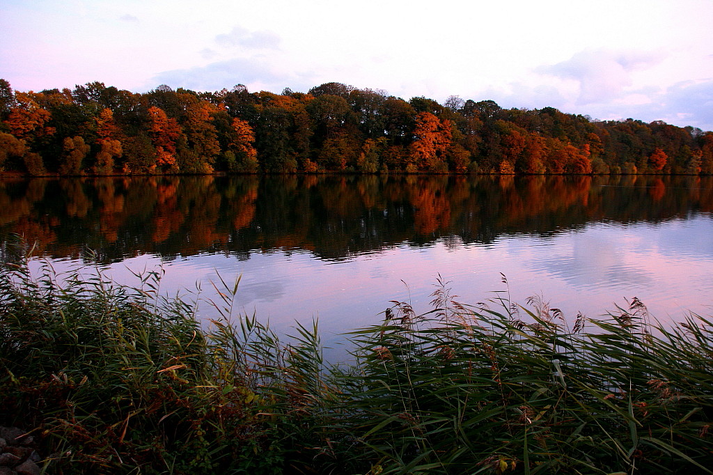 Stausee Glauchau 35