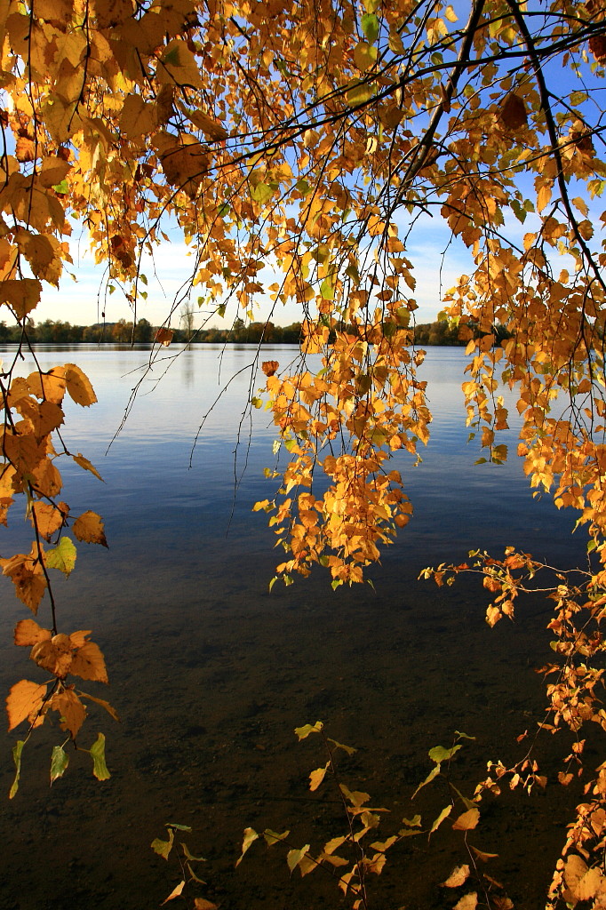 Stausee Glauchau 37