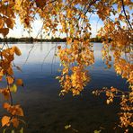 Stausee Glauchau 37