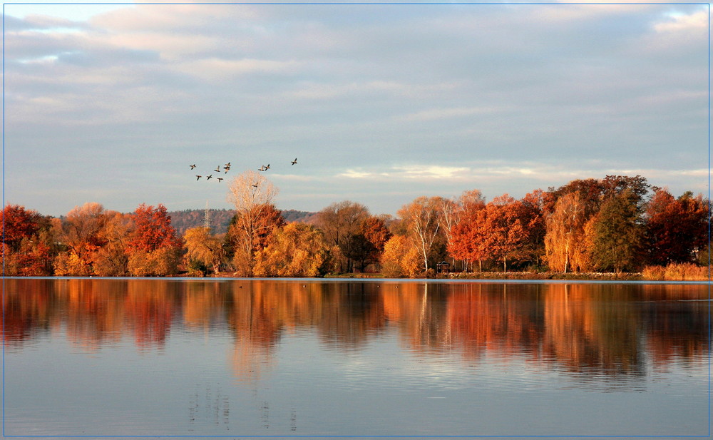 Stausee Glauchau (4)