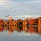 Stausee Glauchau (4)