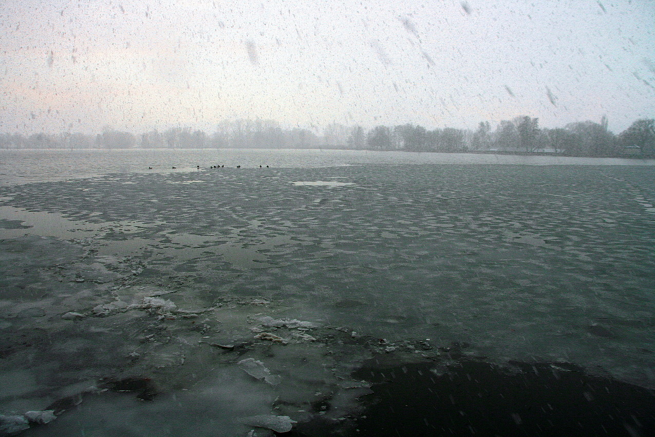 Stausee Glauchau 49