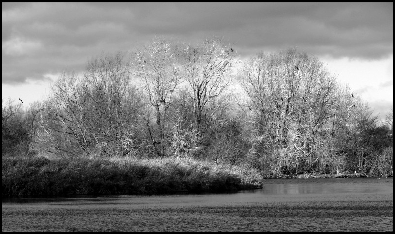 Stausee Glauchau 6