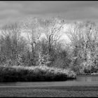 Stausee Glauchau 6