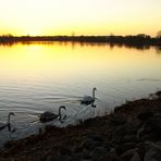 Stausee Glauchau 76