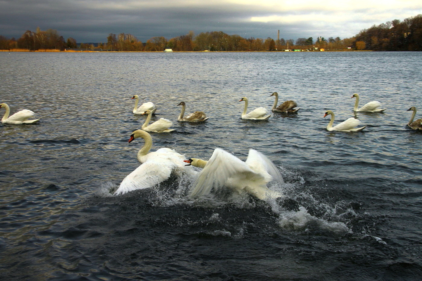 Stausee Glauchau 80