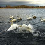 Stausee Glauchau 80