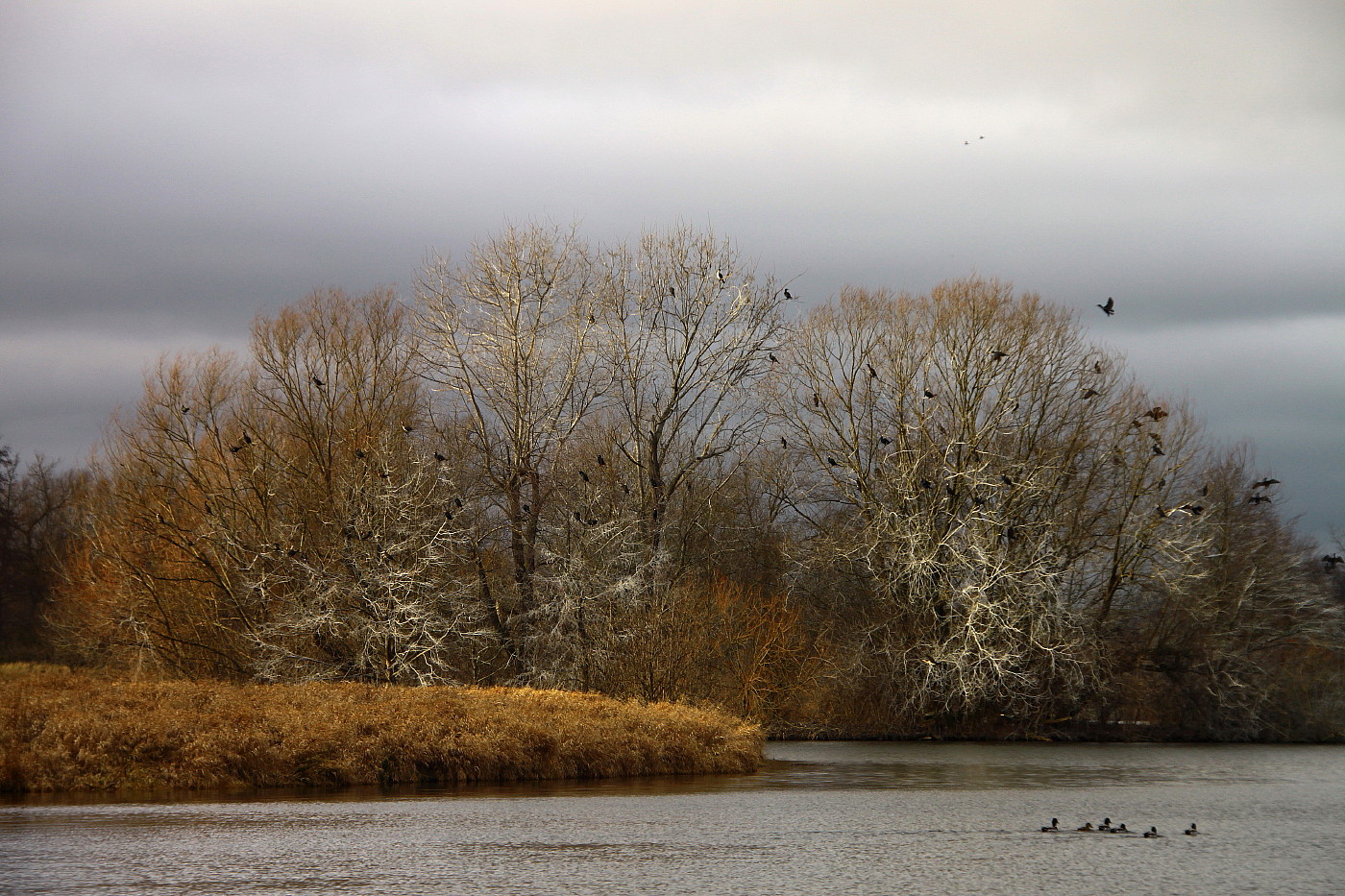 Stausee Glauchau 81