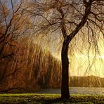 Stausee Glauchau 85