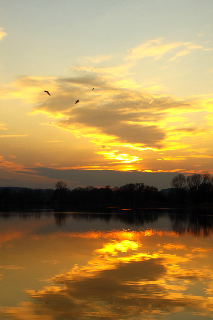 Stausee Glauchau 99