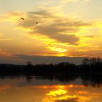 Stausee Glauchau 99