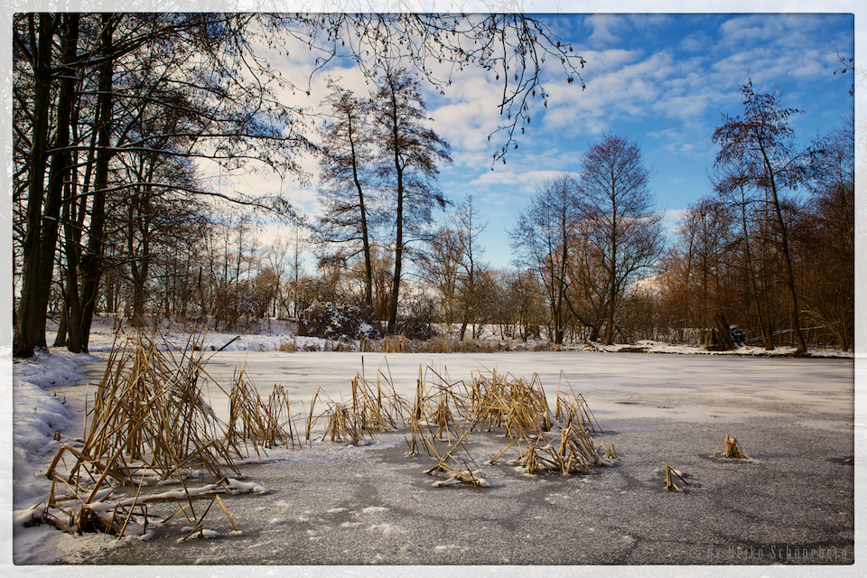 Stausee Glauchau im Winter 2013 #2