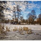 Stausee Glauchau im Winter 2013 #2