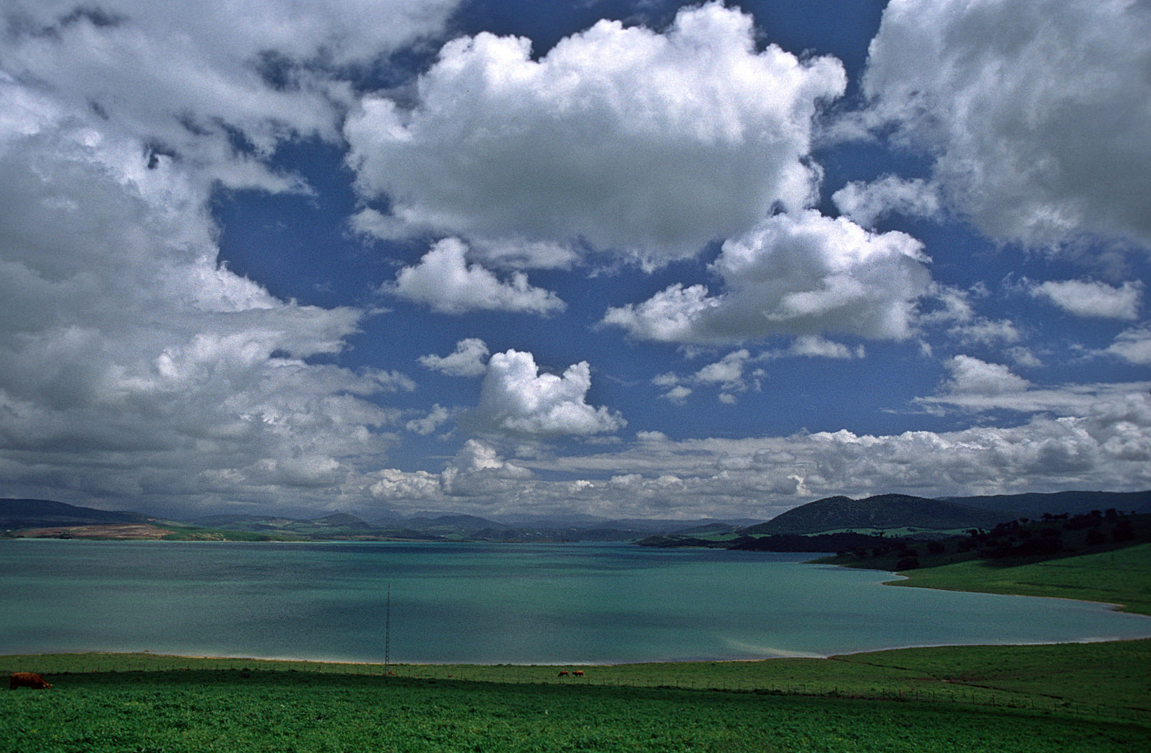 Stausee Guadalcacin im Südwesten Andalusiens