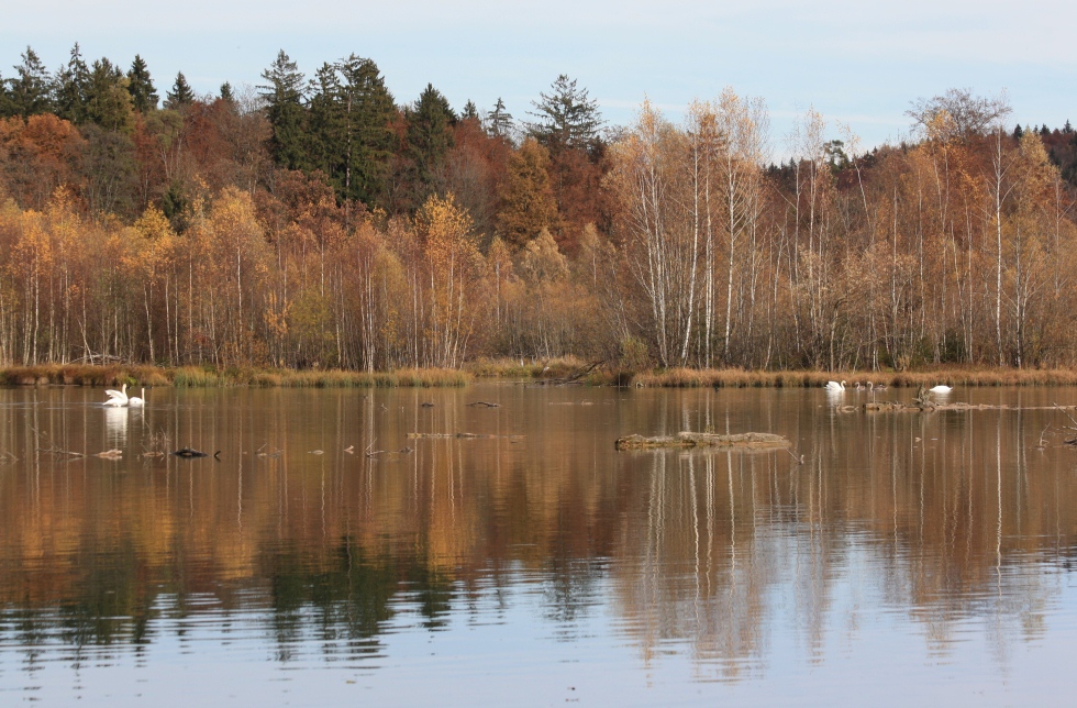 Stausee-Idylle ...