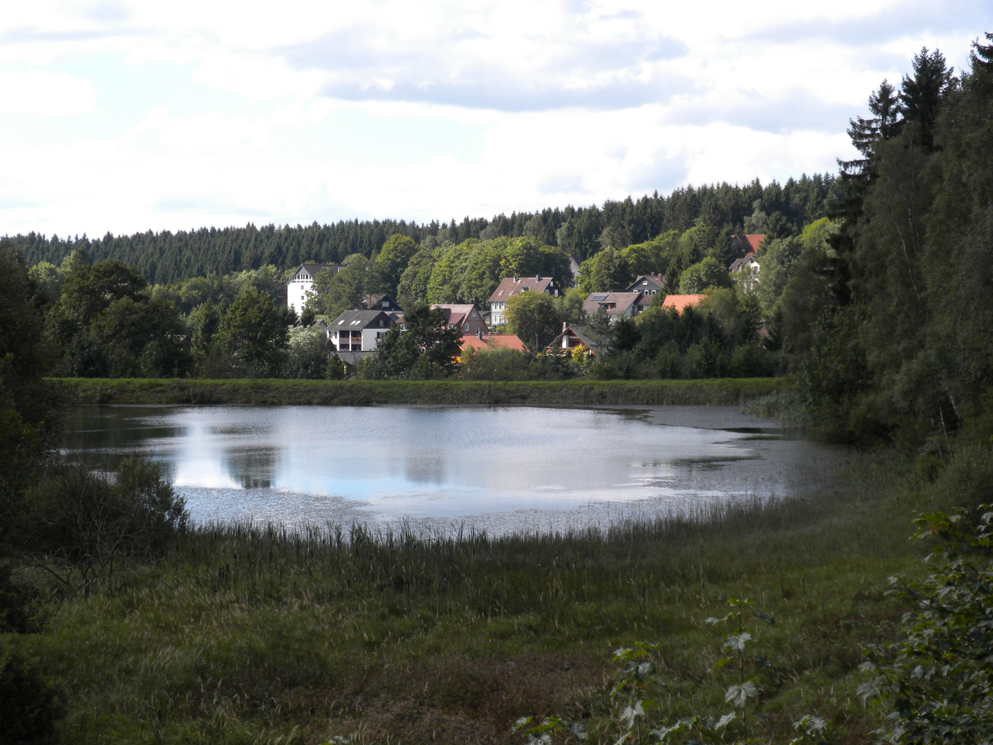 Stausee im Harz