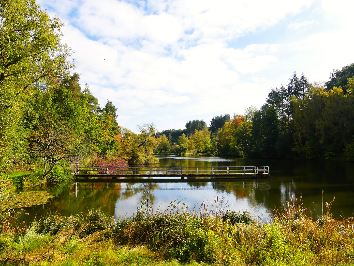 Stausee im Herbst mit Durchblick