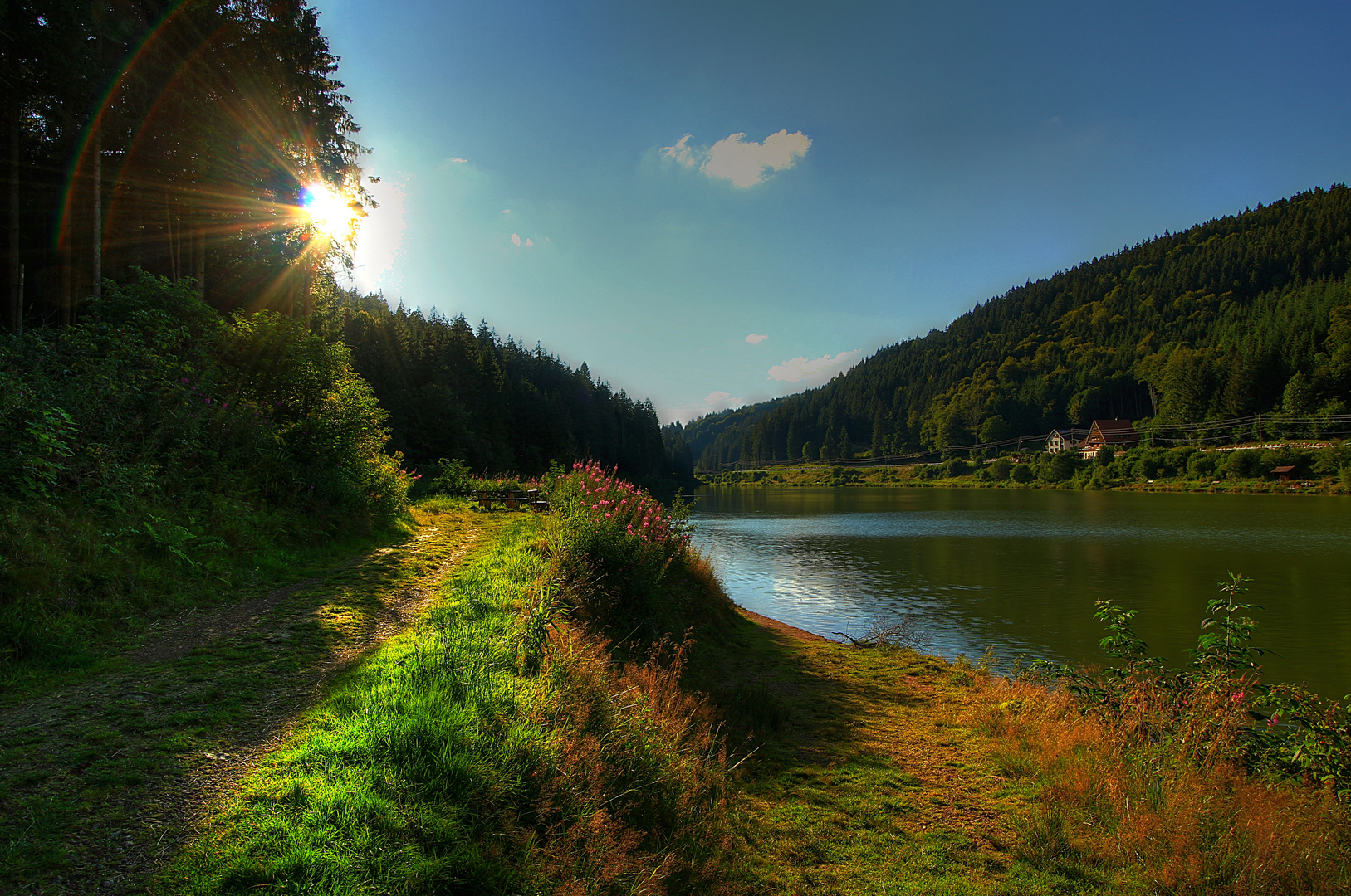 Stausee im Linachtal