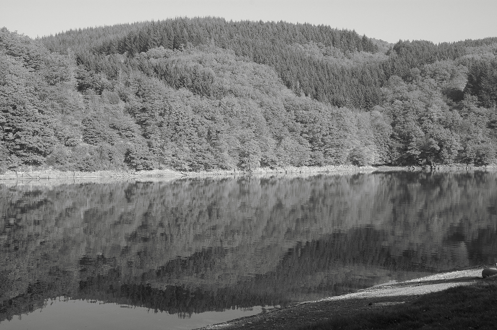 Stausee in Luxemburg 1