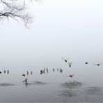 Stausee (Januarnachlese 16)