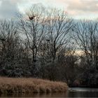 Stausee (Januarnachlese 2)