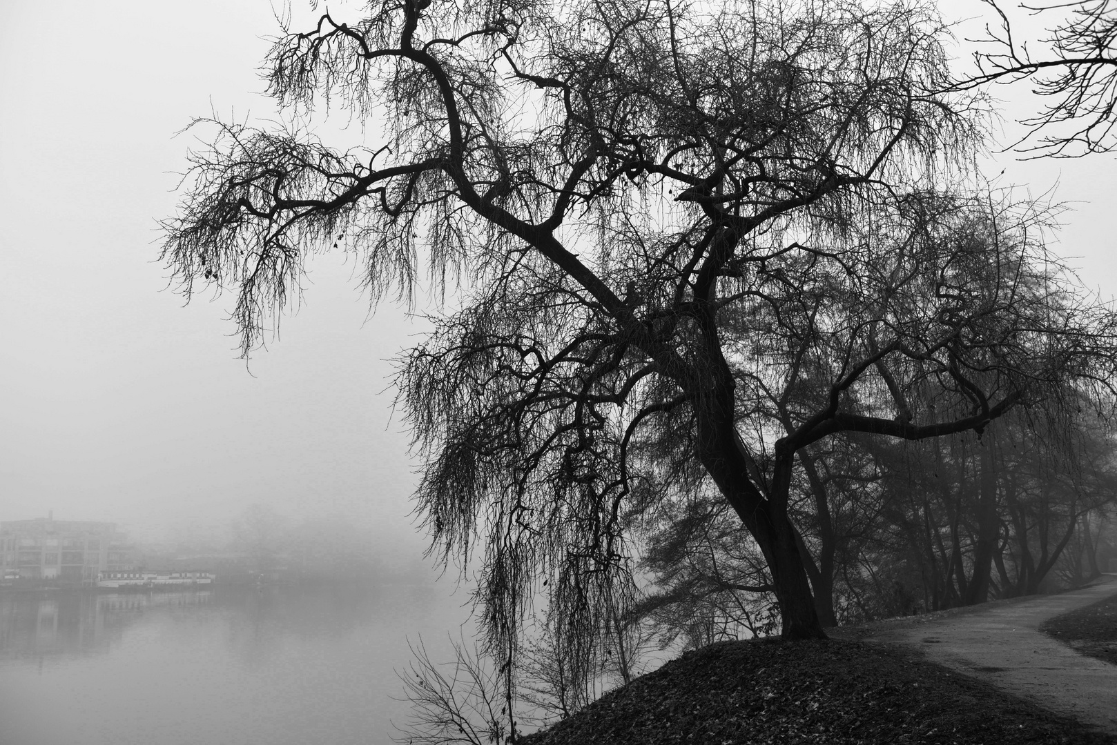 Stausee Kettwig im Nebel
