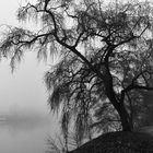 Stausee Kettwig im Nebel