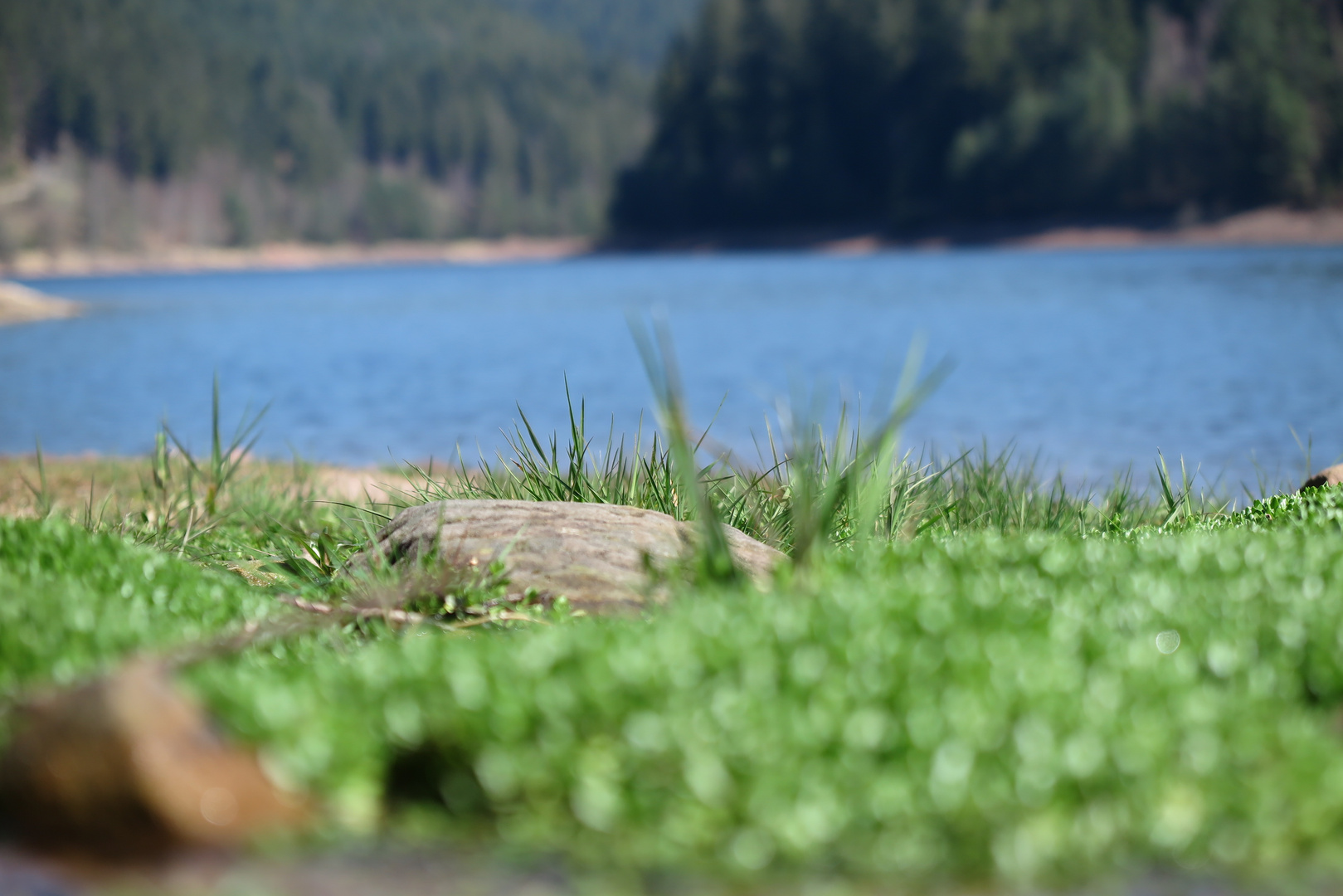 Stausee kleine Kinzig (4) 26.03.2017