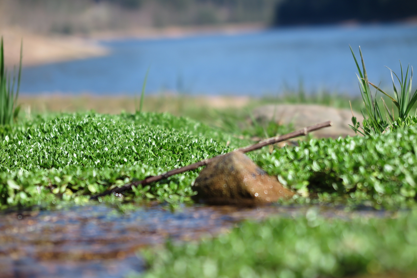 Stausee kleine Kinzig (6) 26.03.2017