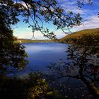 Stausee Obermaubach in herbstlicher Atmosphäre