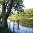 Stausee Quitzdorf / Sachsen - abseits der Badebuchten