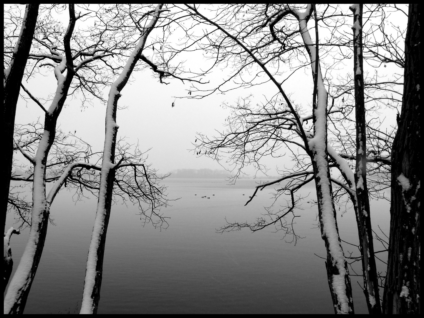 Stausee Rötha I