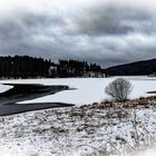 Stausee Scheibe-Alsbach