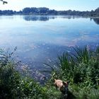 Stausee Schlingen 