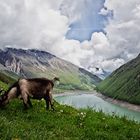 Stausee Vernagt