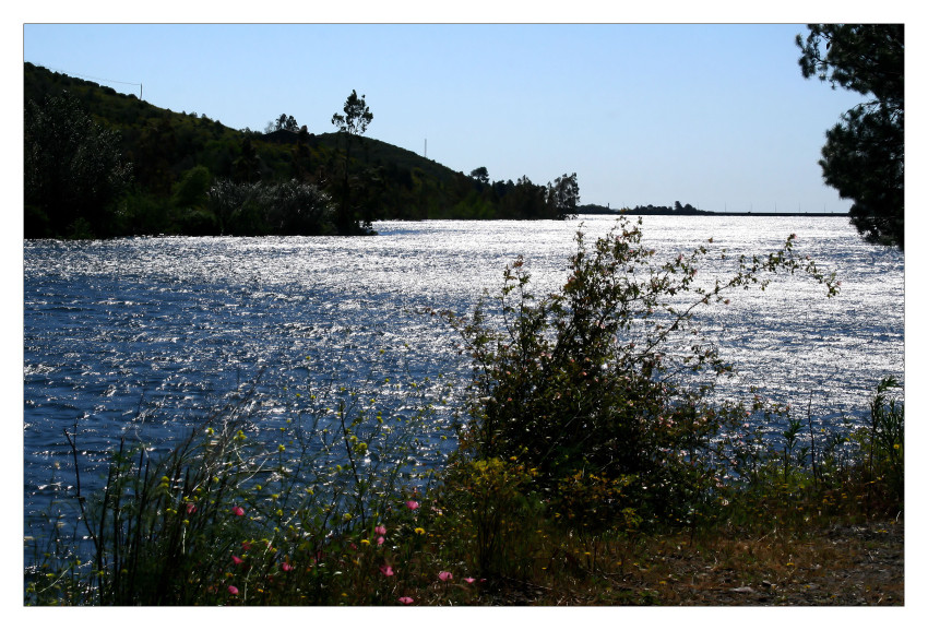 Stausee von Riudecanyes