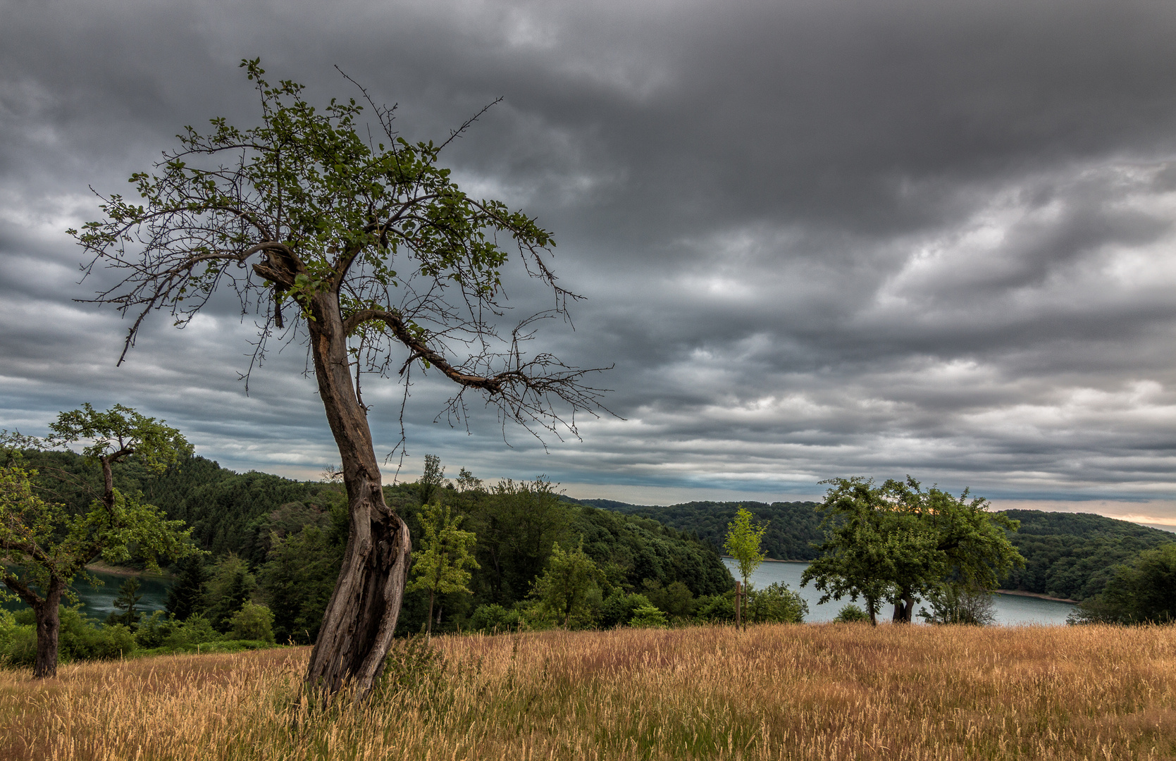 Stauseelandschaft