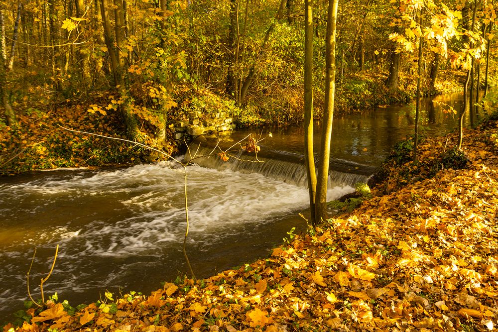 Staustufe Im Herbstlicht_MG_0285