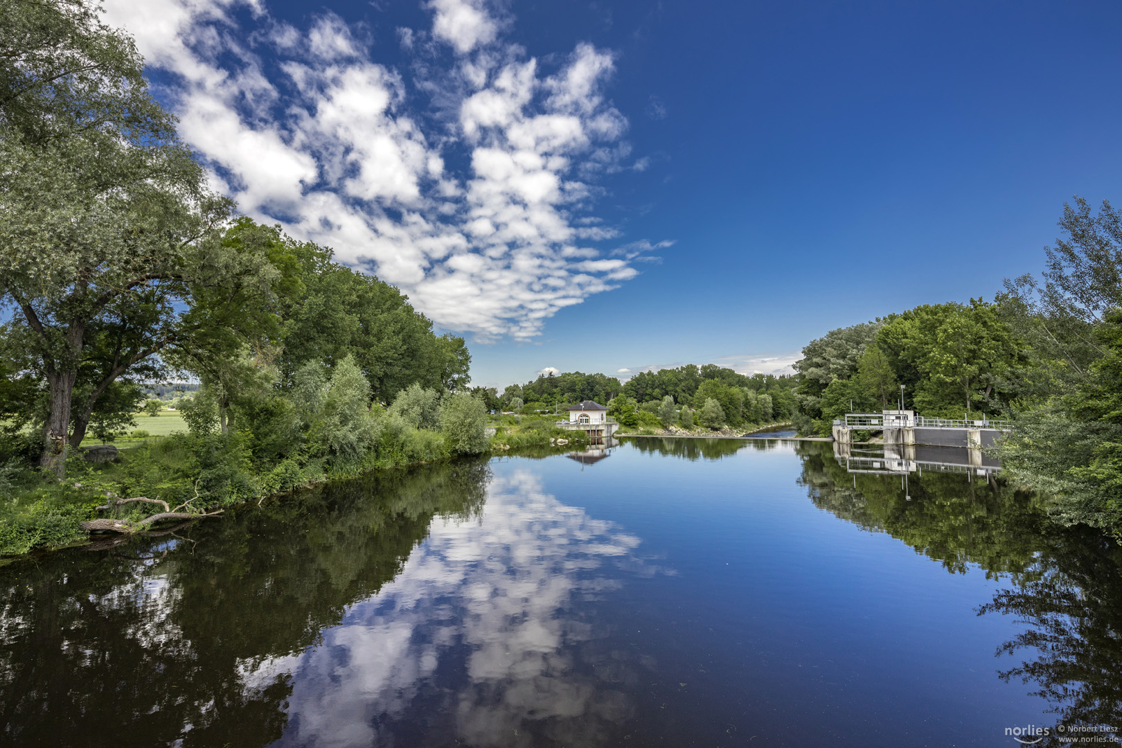 Stauwasser an der Wertach