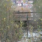 Stauwehr am Hopfensee Herbst 2011