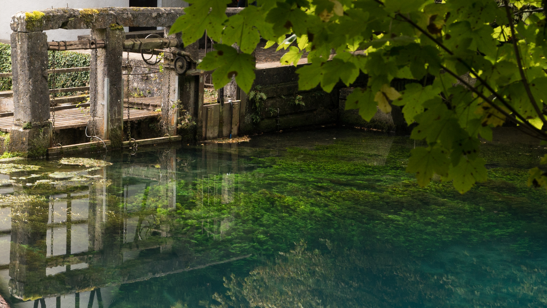 Stauwehr am Spiegeltag